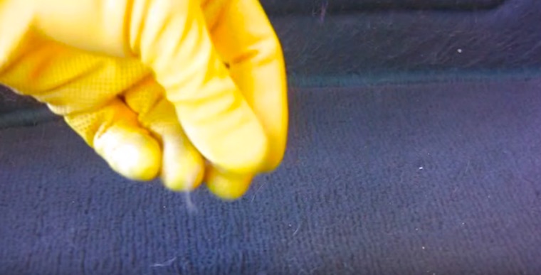 Use Rubber Gloves to Remove Dog Hair from Your Car