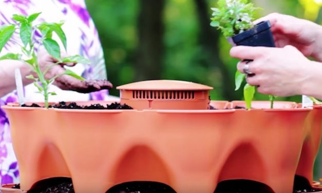Garden Tower 2: Create Your Own Organic Garden with Just 4 Feet of Space