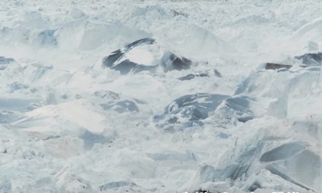 Filmmakers Set Up Camera on Ice, End Up Capturing Largest Glacier Calving Ever Filmed