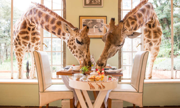Giraffe Manor: Dine With Safari Animals in Kenya