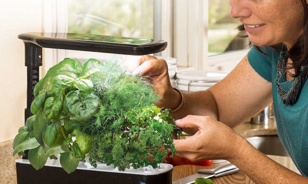 Miracle-Gro Aerogarden: Garden All Year-Round Without the Use of Soil