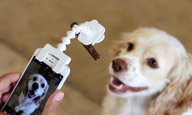 The Flexy Paw Treat Holder – Easily Take Selfies and Portraits of Your Dogs and Cats