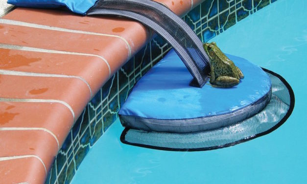 FrogLog: Save Animals from Drowning in Your Pool