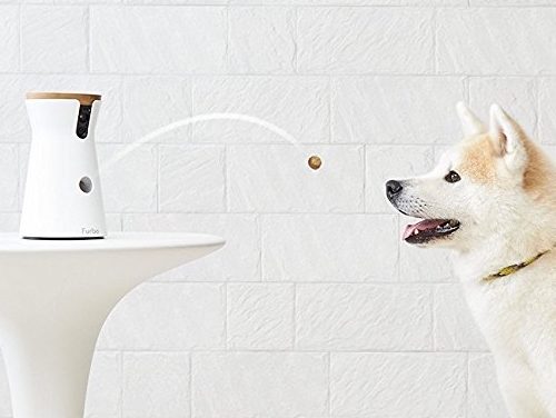 Furbo Dog Camera: Toss Treats and Comfort Your Dog While Away from Home