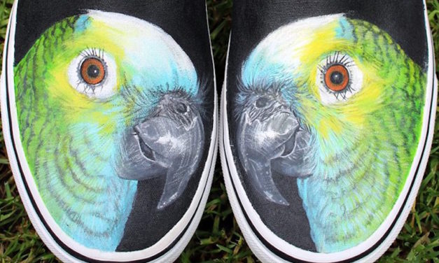 Artist Gets Touching Message from Customer Who Ordered Hand-Painted Parrot Shoes