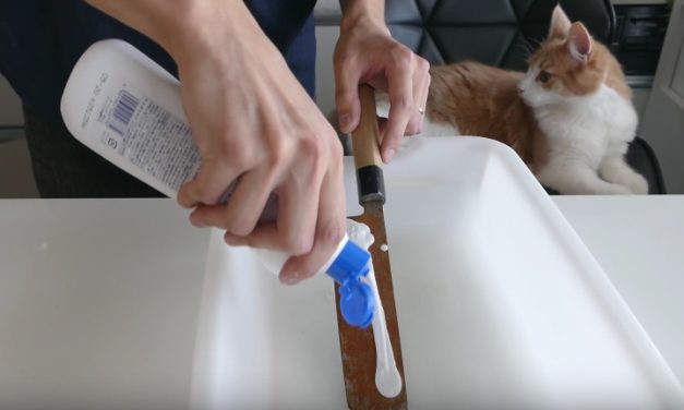 Viral YouTube Video Shows You How to Polish Even the Most Rusty Knives