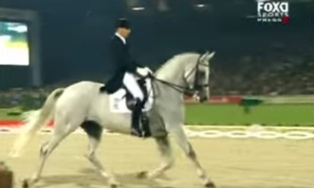 Show Horse Wows the Crowd with Hilarious Dance Moves