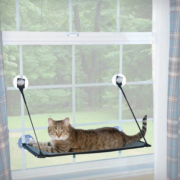 K&H EZ Mount Window Solutions The Perfect Bed and Accessories for Your Cat