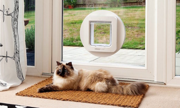 SureFlap Microchip Pet Door: Control Which Pets Go in and Out of Your Home
