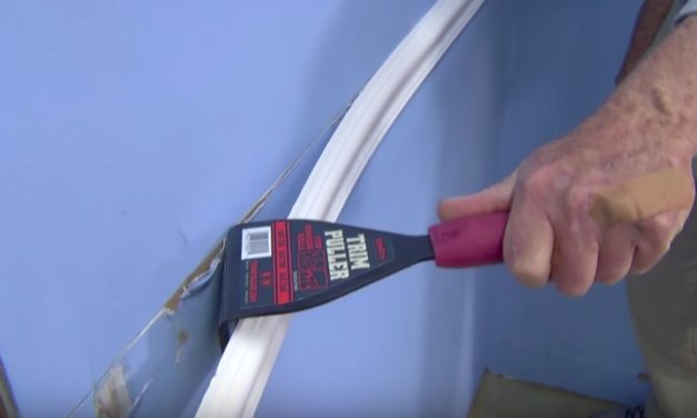 Trim Puller: Easily Remove Wood Trim Without Damaging Your Wall