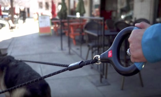 Wigzi Dual Dog Gel Leash: 2-Dog Leash That Automatically Untangles by Spinning