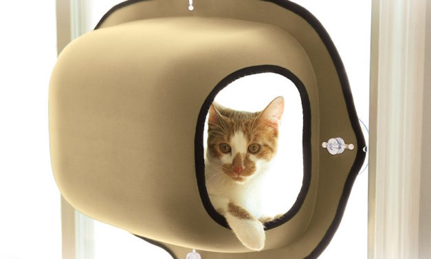 K&H EZ Mount Window Solutions: The Perfect Bed and Accessories for Your Cat