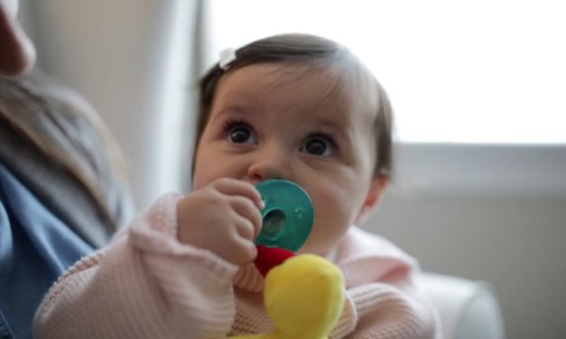 WubbaNub: Soothes Any Fussy Baby with a Pacifier and Stuffed Toy