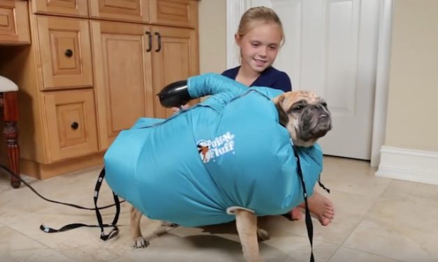 Puff-n-Fluff: Dry Any Size Dog Quickly and Easily