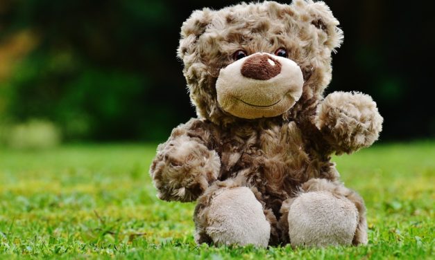 Dad Doesn’t Want to Buy a Teddy Bear, Then His Daughter Teaches Him an Important Lesson