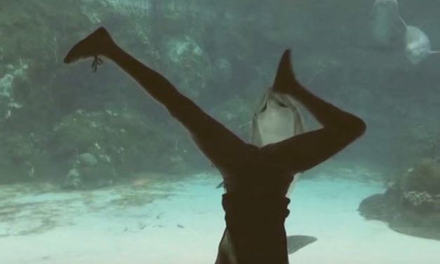 Acrobatic Girl Performs for Dolphin While Visiting at the Aquarium
