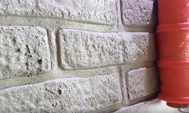 DealMux Pattern Paint Roller: Turn Your Basic Wall into Beautiful Brick