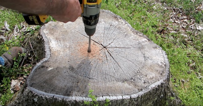 YouTuber Has an Inexpensive Solution to Getting Rid of a Tree Stump