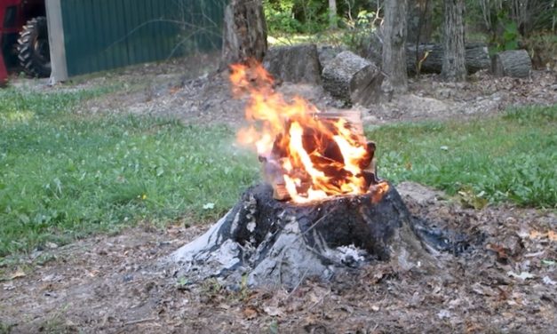 YouTuber Has an Inexpensive Solution to Getting Rid of a Tree Stump