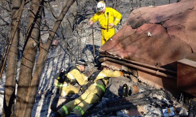 Firefighters Try to Put Out Massive Wildfire, Then Notice a Cat Hide Inside a Hole