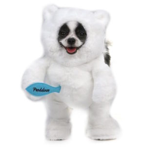 Pandaloon Pet Costumes: Dress Your Pet Up In The Cutest Costumes