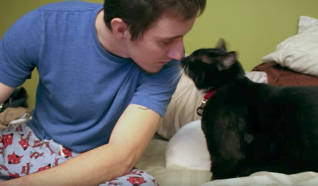 Cat Appears to Save Soldier’s Life Then Disappears, Only to Reappear at Another Pivotal Moment