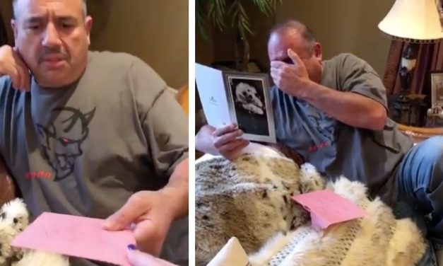 Dad’s 2 Dogs Pass Away, Absolutely Loses It When Wife Surprises Him on Birthday