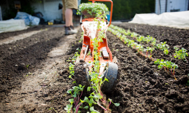 Paperpot Transplanter: Turn Hours of Work into Just Minutes