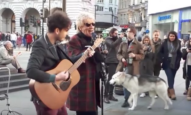 Rod Stewart Hears Street Performer Sing His Song, Grabs the Microphone and Joins In