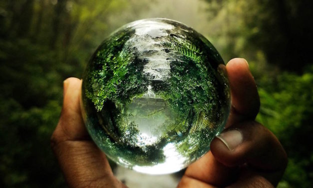 LensBall: Take Incredible Photos with an Innovative Spherical Lens