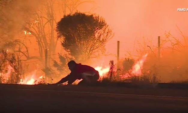 Anonymous Hero Notices Bunny Close to Raging Fires, Jumps Out of Car & Risks His Life