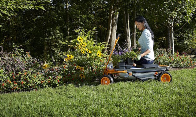 WORX Aerocart Wagon: The Multi-Use Wheelbarrow for Any Home