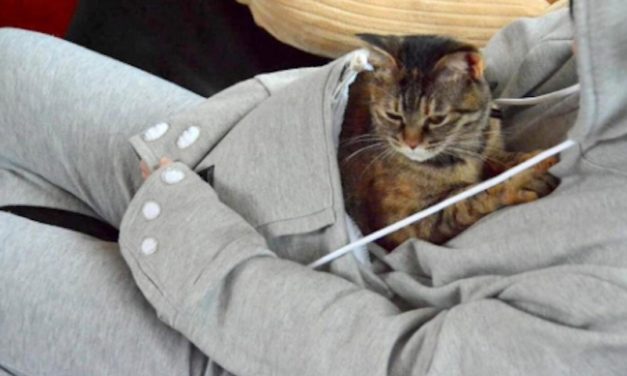 Meowingtons Cat Eared Pouch Sweatshirt: Stay Cozy While Hanging Out with Your Pet