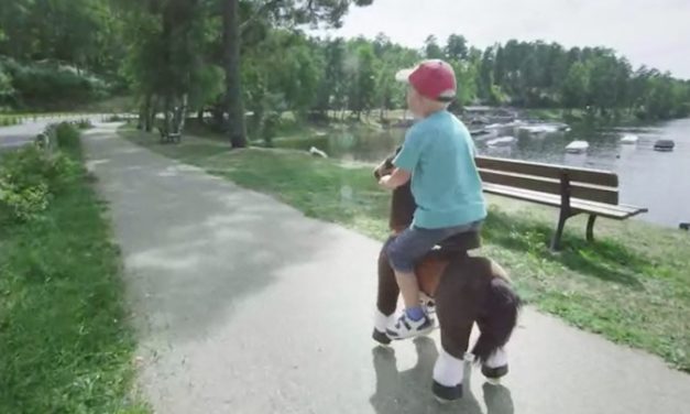 PonyCycle: Let Your Child Ride a Pony in Their Own Backyard