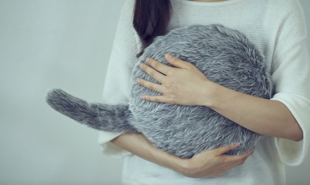 Qoobo: The Pillow with a Tail That Will Warm Your Heart
