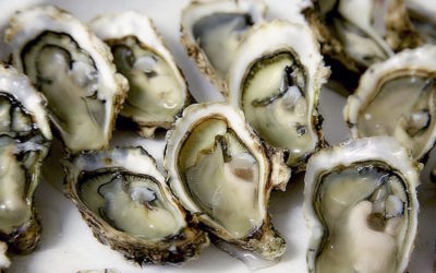 Woman Passes Away from Bacteria After Eating Raw Oysters—Here’s What to Watch Out For
