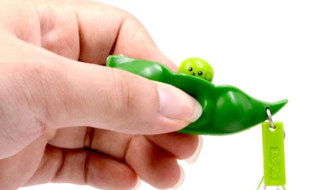 Edamame Fidget Toy: The Cute Way to Distract Yourself