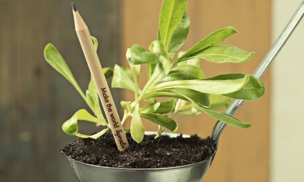 Sprout Pencils:  Use It, Plant It, and Watch It Grow into a Tomato Plant