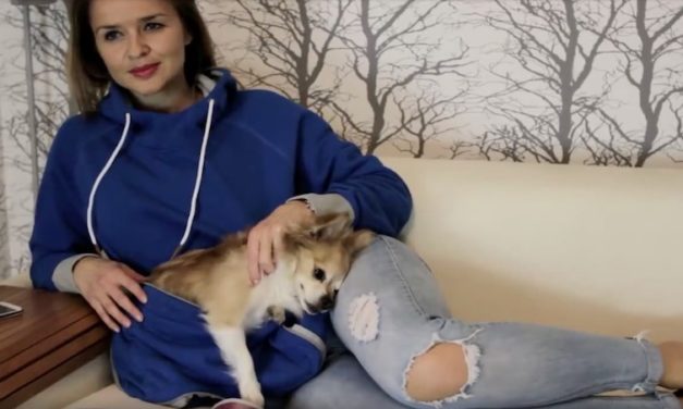 Roodie: Take Your Dog or Cat with You Anywhere You Go