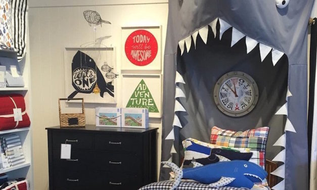 Shark Canopy: The Fun Canopy for Your Child’s Bedroom or Playroom