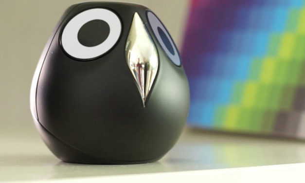 Ulo: The Owl That Watches Over Your Home When You’re Away