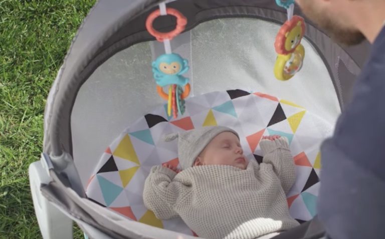 Fisher-Price On-the-Go Baby Dome: Entertain Your Baby Anywhere