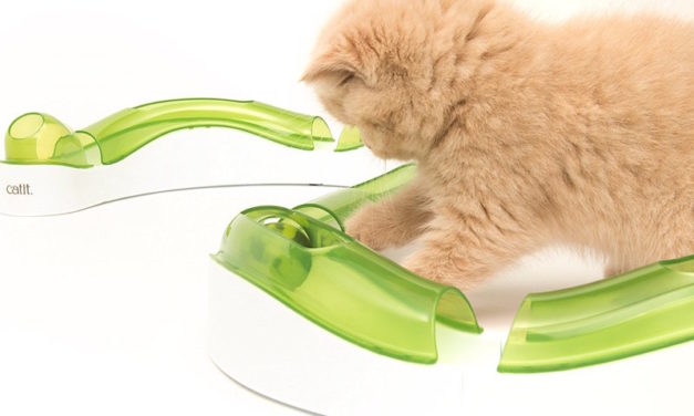 Catit Senses Circuit: Simulate and Entertain Your Cats Effortlessly