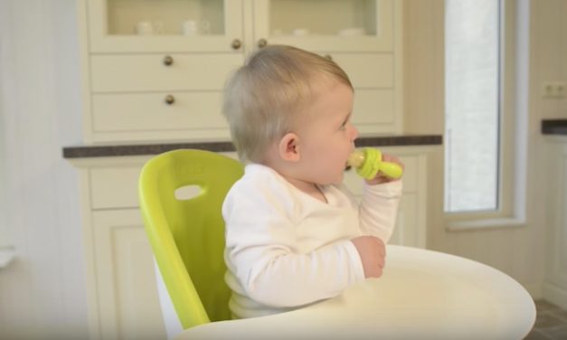 Kidsme Food Feeder: Let Your Kids Feed Themselves Worry-Free