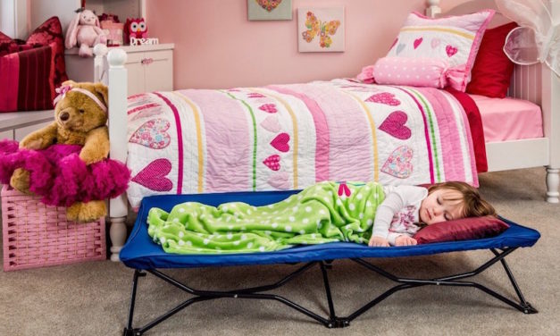 Regalo My Cot Portable Toddler Bed: Have a Bed for Your Child Anywhere