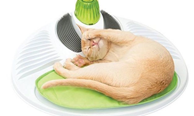 Catit Senses Wellness Center: The Ultimate Spa for Your Cat