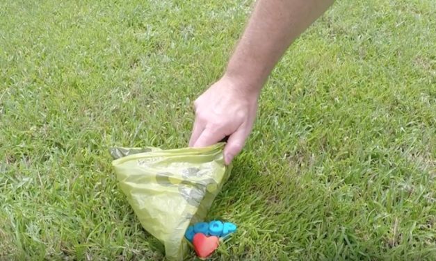 Porta Puppy Poop Scoop: The Bag Carrier with a Built-in Scoop