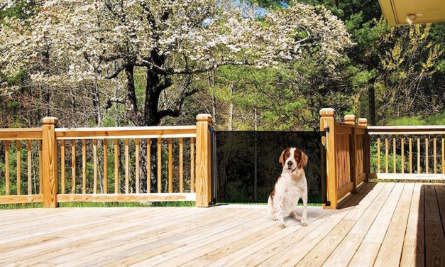 Dreambaby Retractable Gate: The “Magic” Gate for Your Home