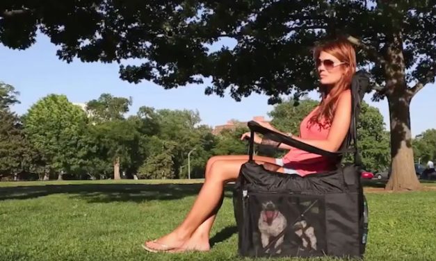 Wrapsit Lawn Chair Cover: The Portable Dog Crate for the Outdoors