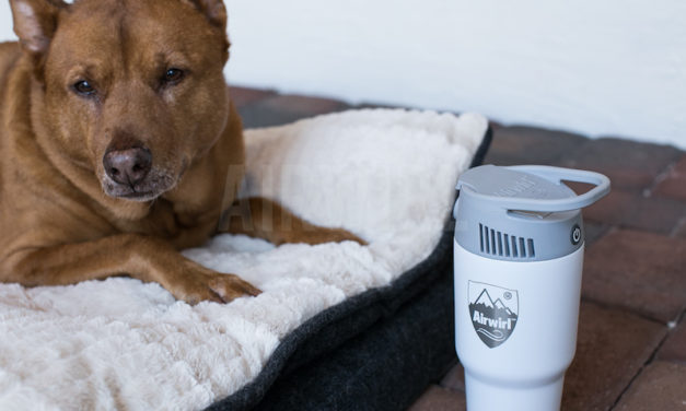 Airwirl: The Portable, Personal Heating and Cooling System